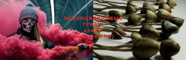 a pvp Володарск