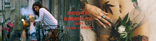PSILOCYBIN Волосово