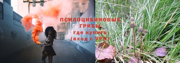 PSILOCYBIN Волосово
