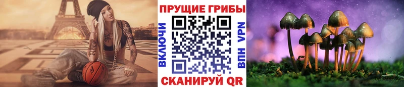 Псилоцибиновые грибы ЛСД  дарнет шоп  Химки 